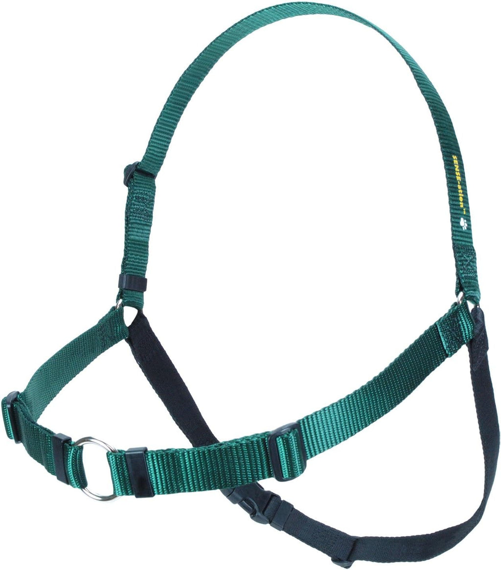 Softouch Sense-Aution No-Pull Dog Harness strap layout and hardware detail