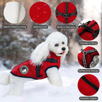 Red winter dog jacket with zipper detail