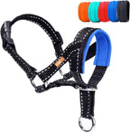 Wintchuk dog head collar blue front view for leash training
