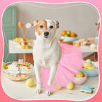 Locmeo vibrant tulle pet outfit laid flat showing drawstring closure