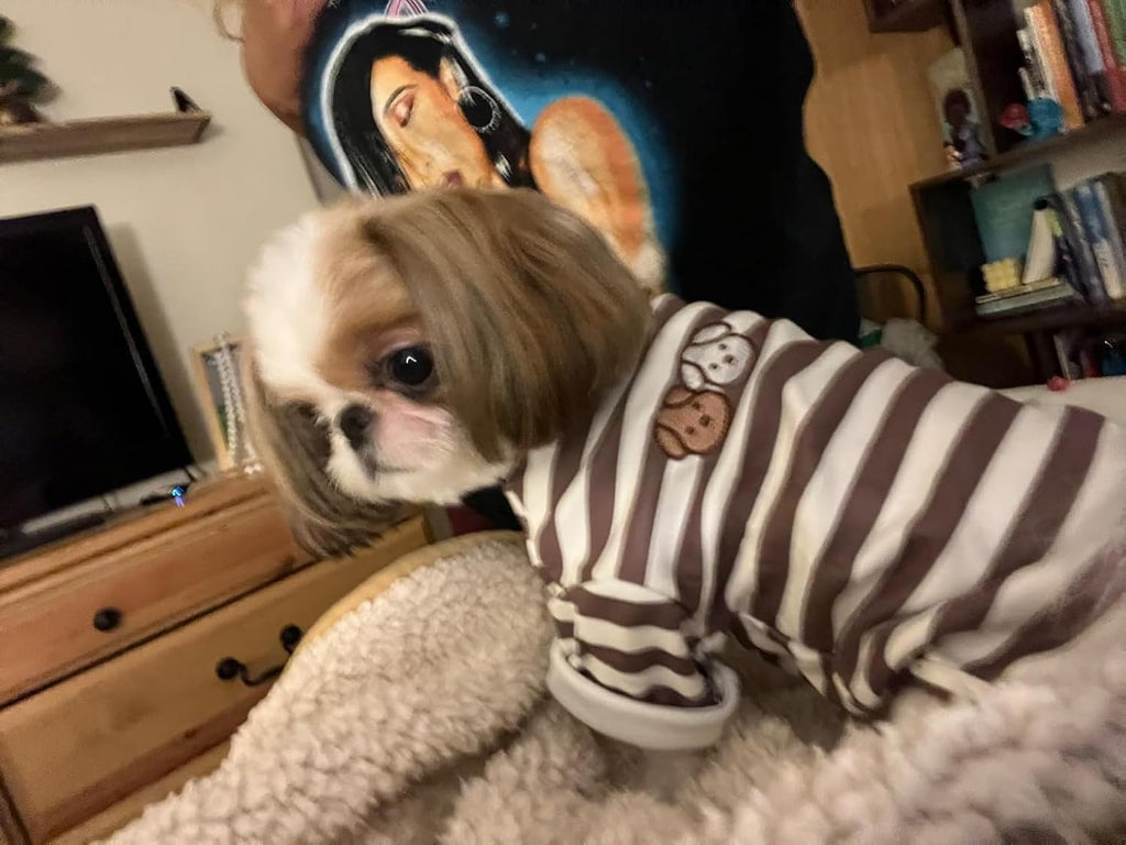 Premium cotton dog pullover displayed flat to highlight breathable texture