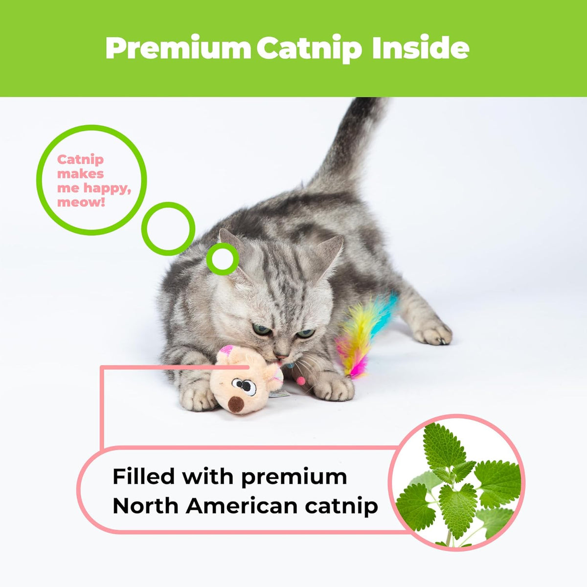 Best Pet Supplies Catify electronic squeaking mouse toy with feather tail close up.