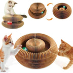 Cat playing with magic organ cardboard scratcher