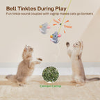 Residue free nano adhesive tape application on a wooden home doorway for secure solo pet play.