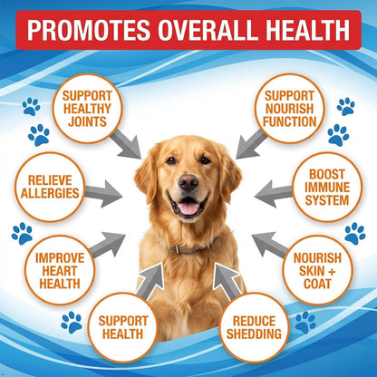 Premium Omega 3 liquid supplement with EPA and DHA for shedding and dry skin control.
