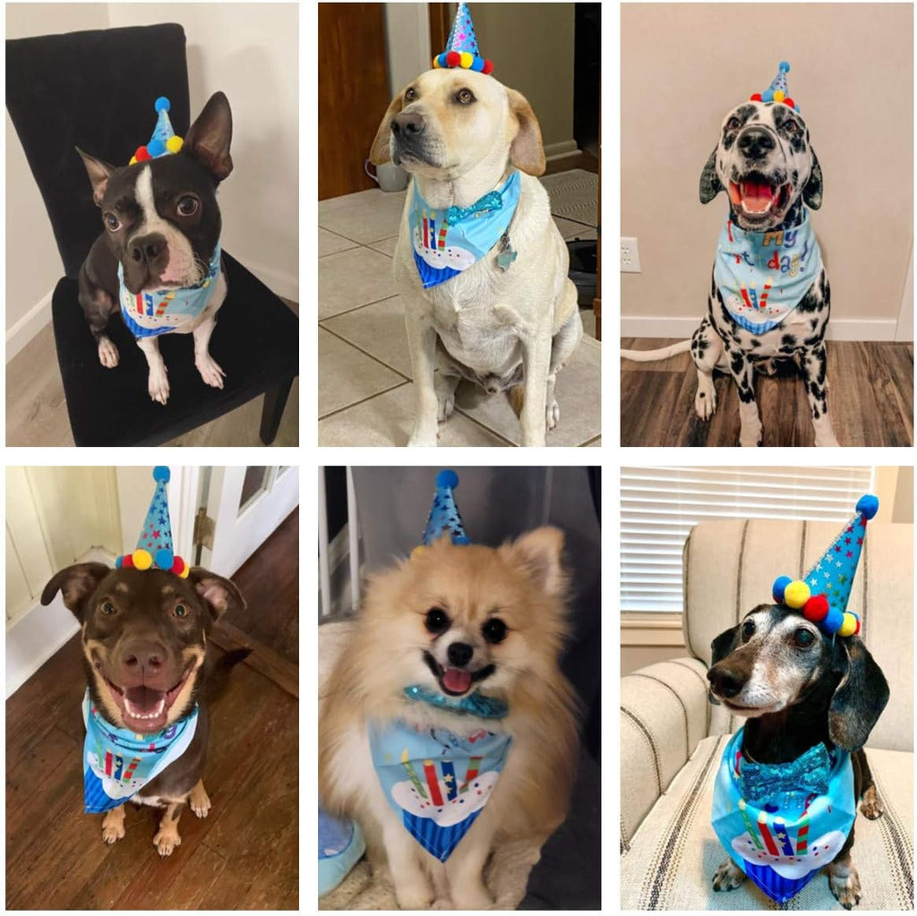 ADOGGYGO pet party supplies with adjustable sequin bow tie close up