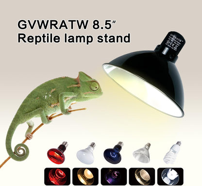 PTSCBS optical reflection terrarium dome lamp placed over a glass reptile tank.