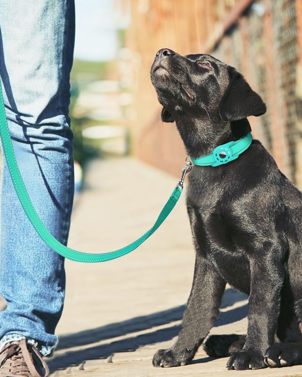 Erbine premium nylon dog walking lead showing three fourth inch width thickness