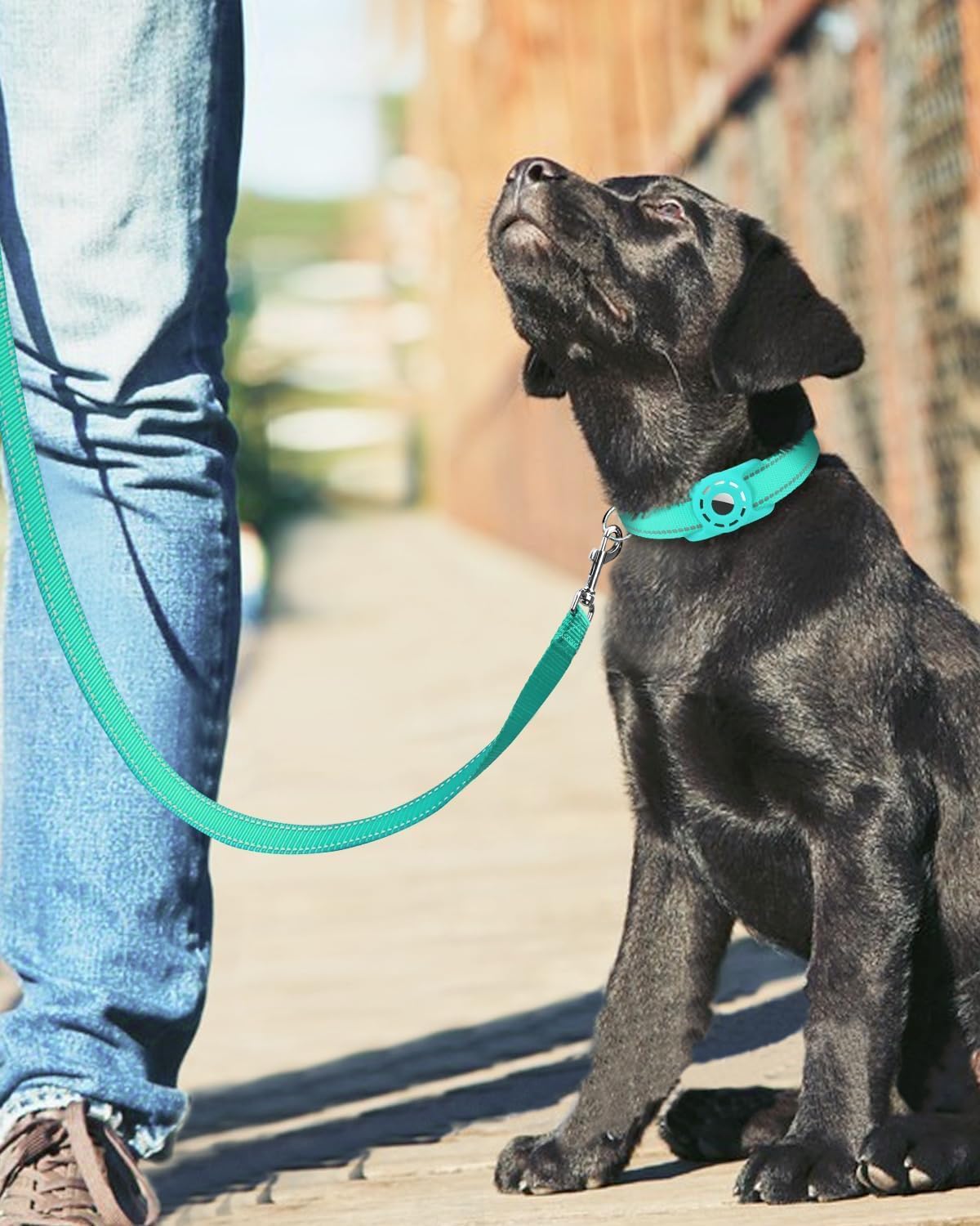 Erbine premium nylon dog walking lead showing three fourth inch width thickness