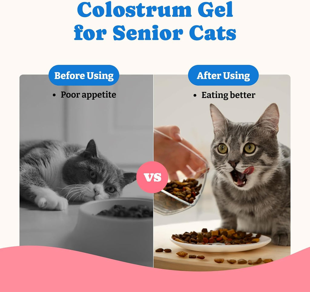 High calorie pet weight gainer supplement gel tube display