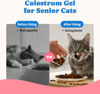 High calorie pet weight gainer supplement gel tube display