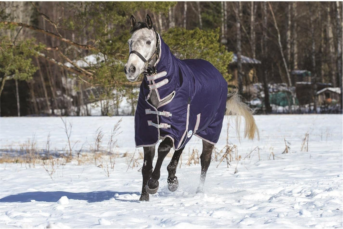 Premium WeatherBeeta ComFiTec 220 Gram polyfill insulated winter horse blanket