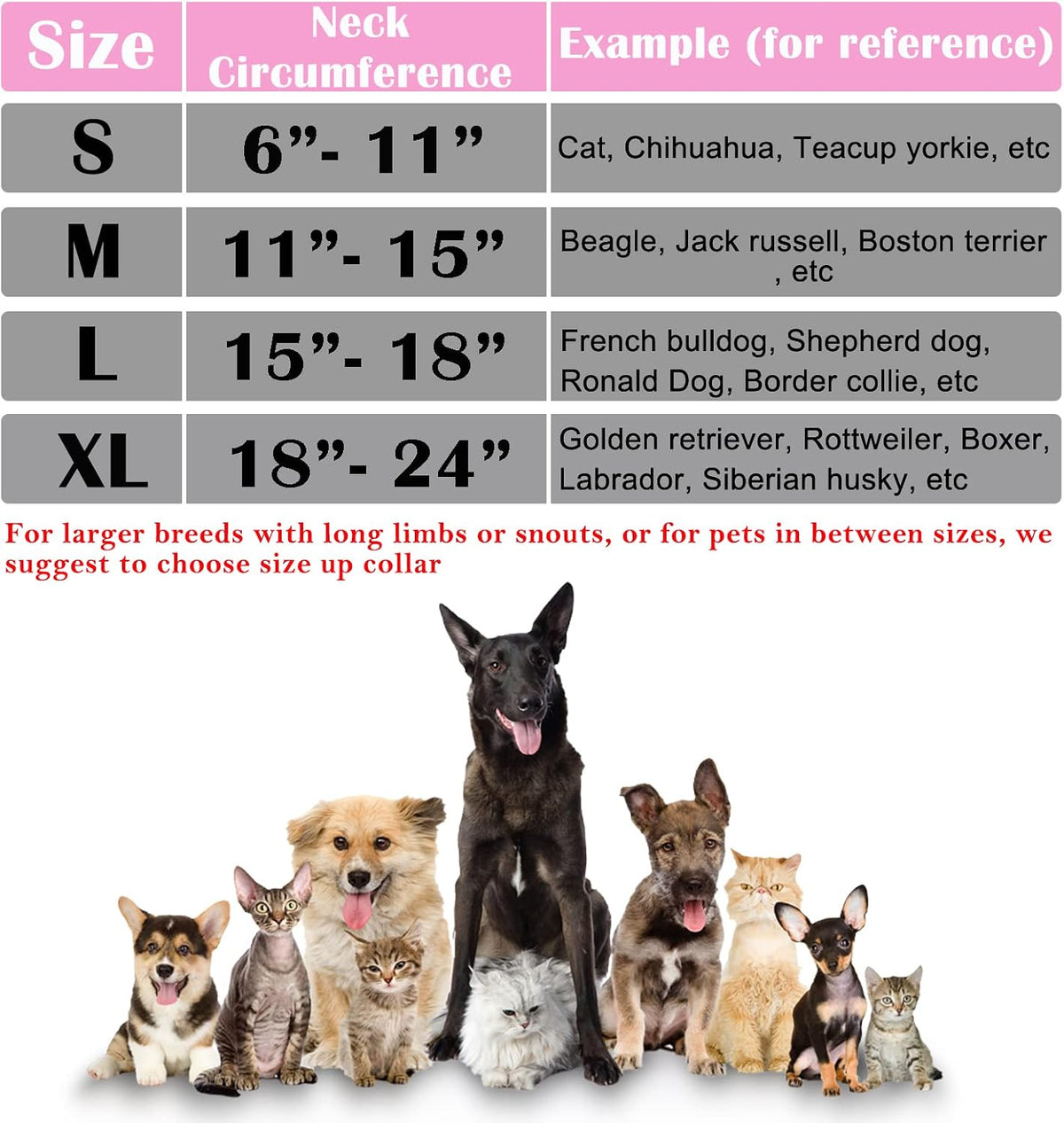 Medium size pink inflatable recovery collar adjusted securely on a dog neck