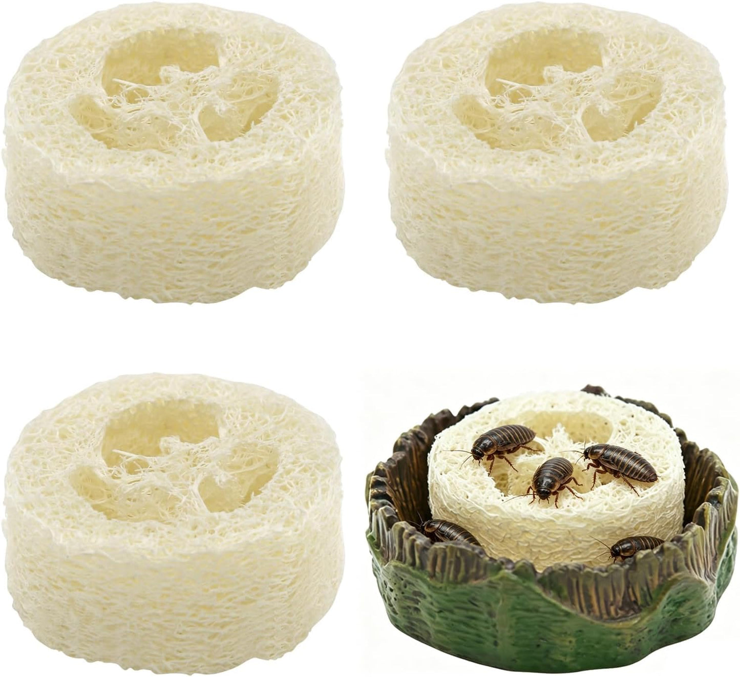 Cyuxing cockroach water basin with loofah inserts front view