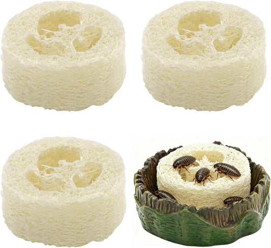 Cyuxing cockroach water basin with loofah inserts front view
