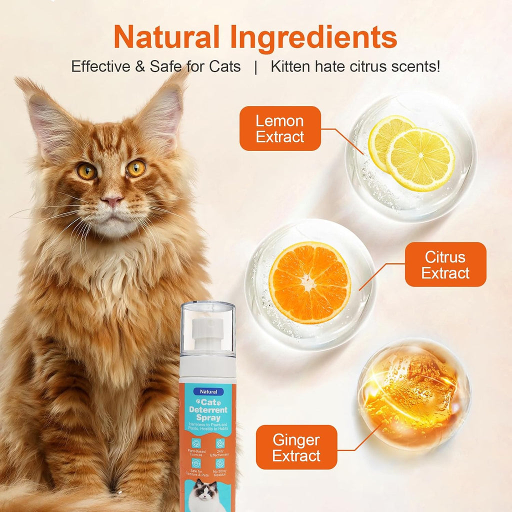 Golrisen cat repellent spray applied to living room sofa