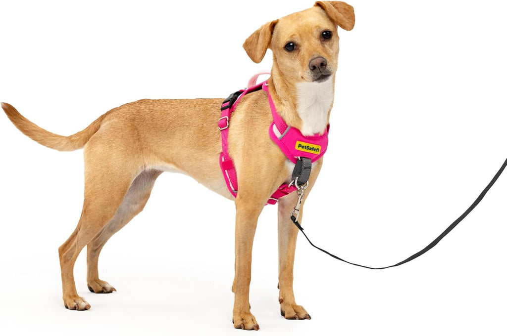 PetSafe Easy Walk Comfort No-Pull Dog Harness Full-Body Padding - Better Walks on the First Use - 5 Points of Adjustment Medium, Blue - Image 11