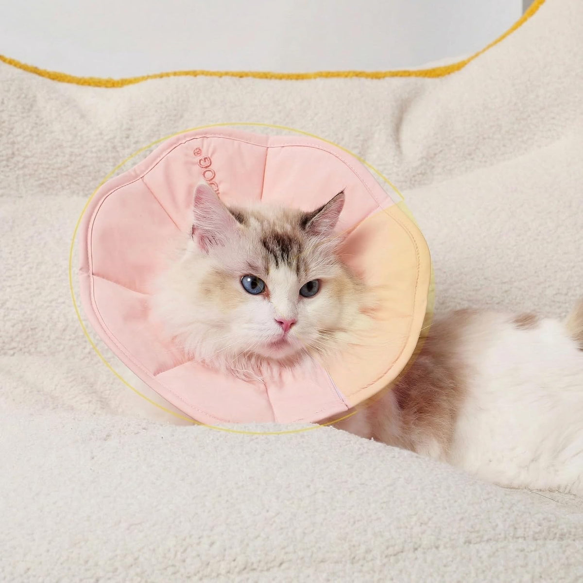 Touchdog medical protective collar for kittens and cats preventing wound scratching.