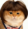 Lamiaraga Funny Pet Wig front view on cat