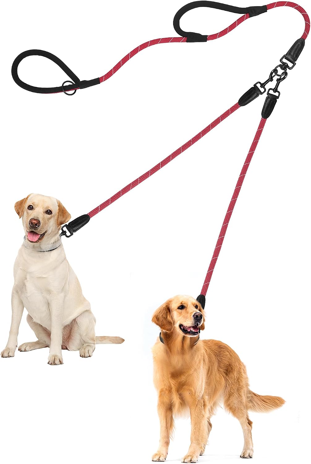 PetBonus no tangle double dog leash lifestyle view during outdoor training