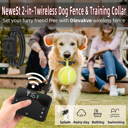 Two dogs wearing the upgraded electric training collars playing safely within an open outdoor yard boundary