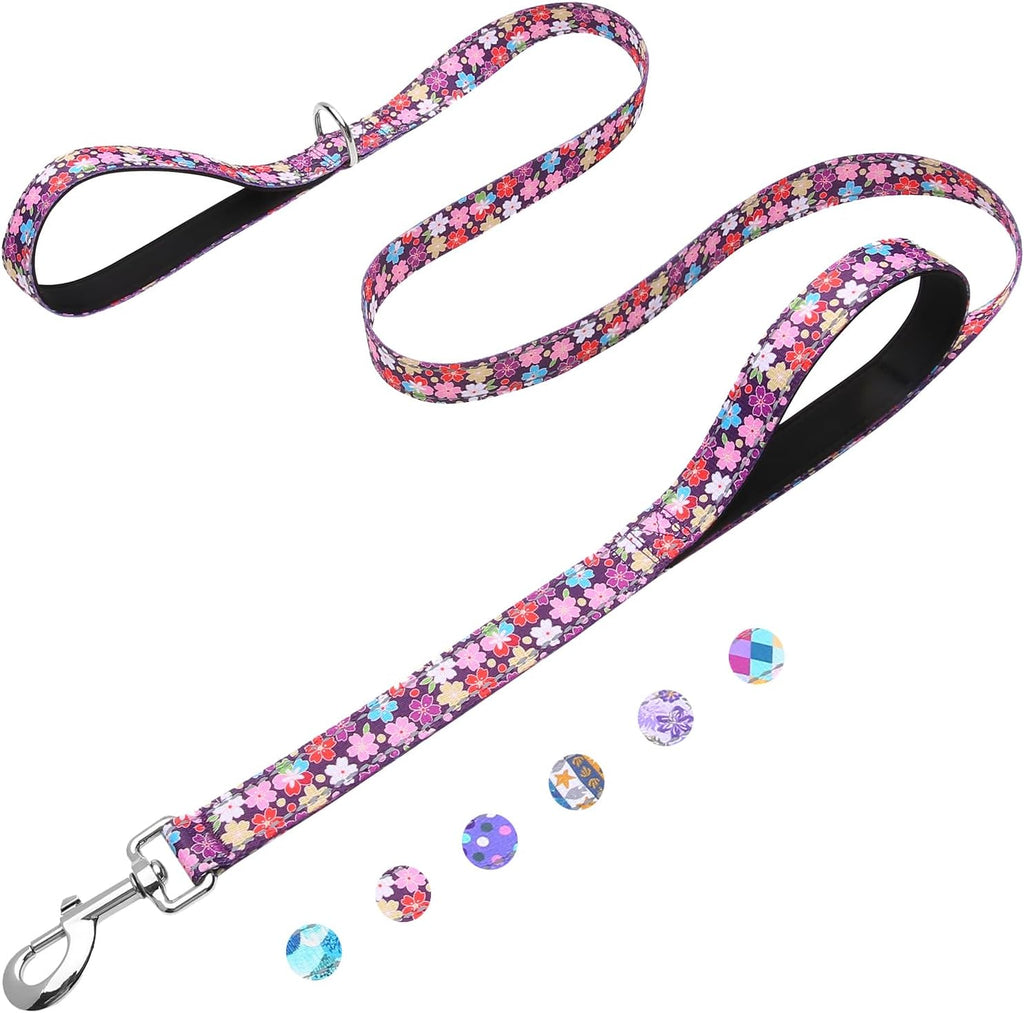 Premium imported heavy duty dog leash for large dogs close up.