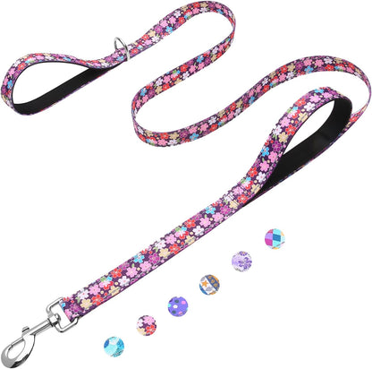 Premium imported heavy duty dog leash for large dogs close up.