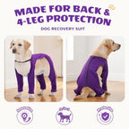 T'CHAQUE dog recovery suit back view with zipper detail