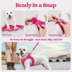 Rabbitgoo imported premium small dog walking vest and leash kit