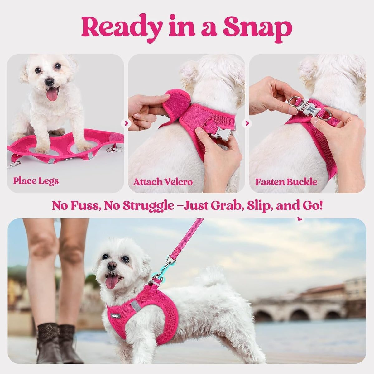 Rabbitgoo imported premium small dog walking vest and leash kit