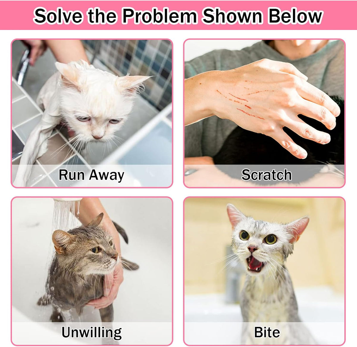 Premium pet hair combs and tick removal tools displayed on a clean background