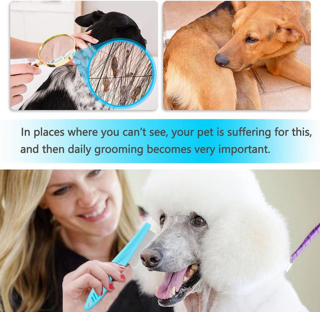BENSEAO pet grooming set showing fine tooth arrangement for dandruff removal