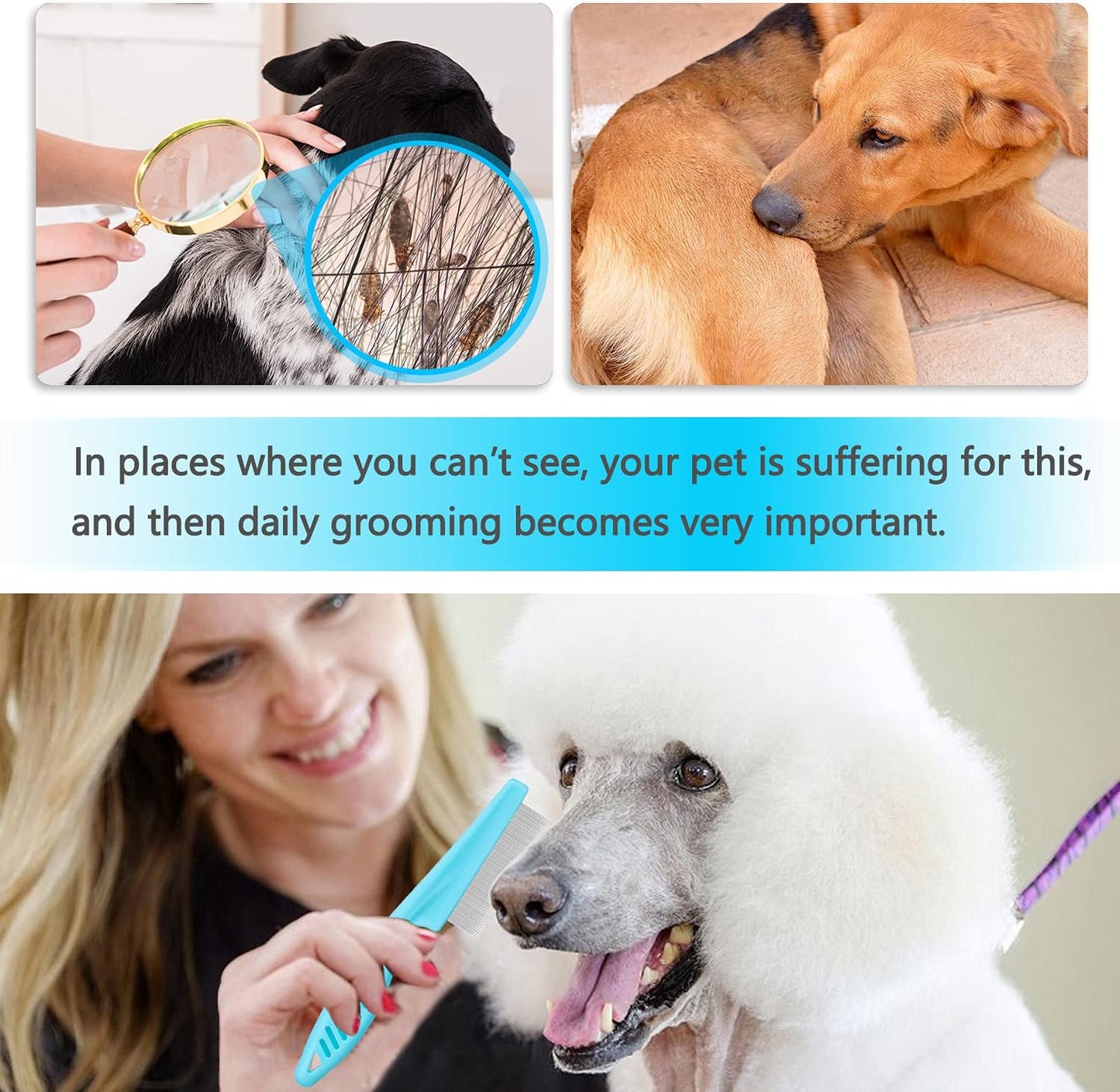BENSEAO pet grooming set showing fine tooth arrangement for dandruff removal