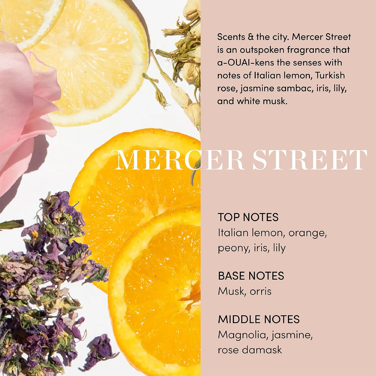 Authentic Ouai pet grooming product 16 fluid ounces