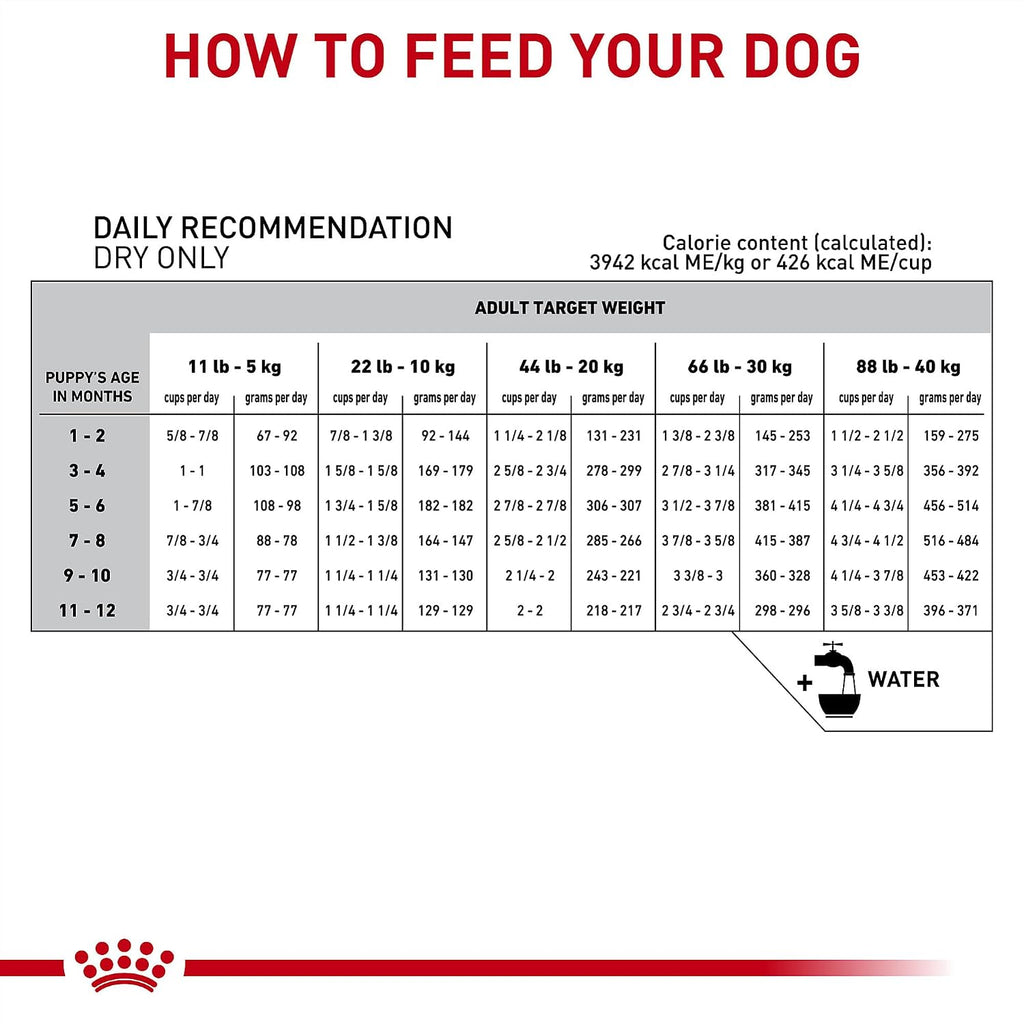 USA sourced Royal Canin Gastrointestinal Puppy 22 lb dry dog food bag for optimal growth fuel