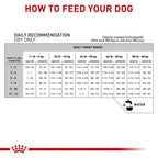 USA sourced Royal Canin Gastrointestinal Puppy 22 lb dry dog food bag for optimal growth fuel