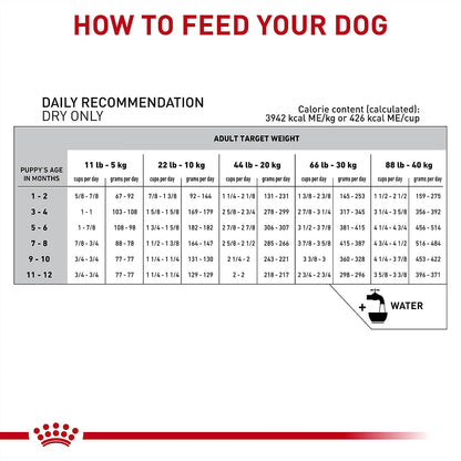 USA sourced Royal Canin Gastrointestinal Puppy 22 lb dry dog food bag for optimal growth fuel