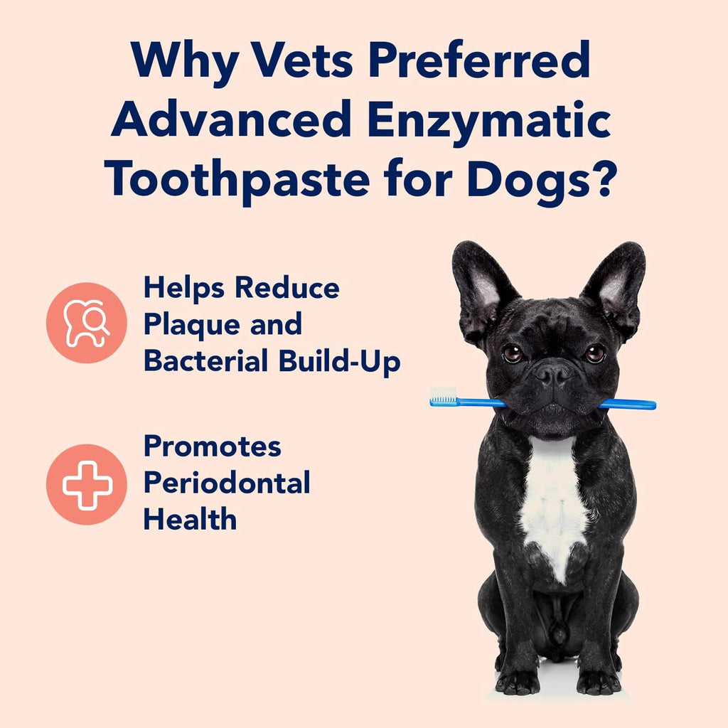 Vets Preferred dog toothpaste peanut butter flavor tube