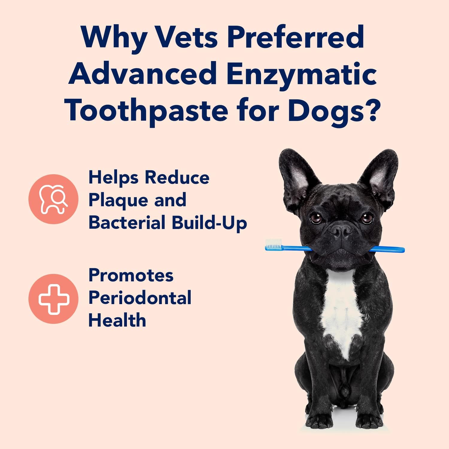 Vets Preferred dog toothpaste peanut butter flavor tube