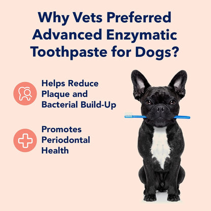 Vets Preferred dog toothpaste peanut butter flavor tube