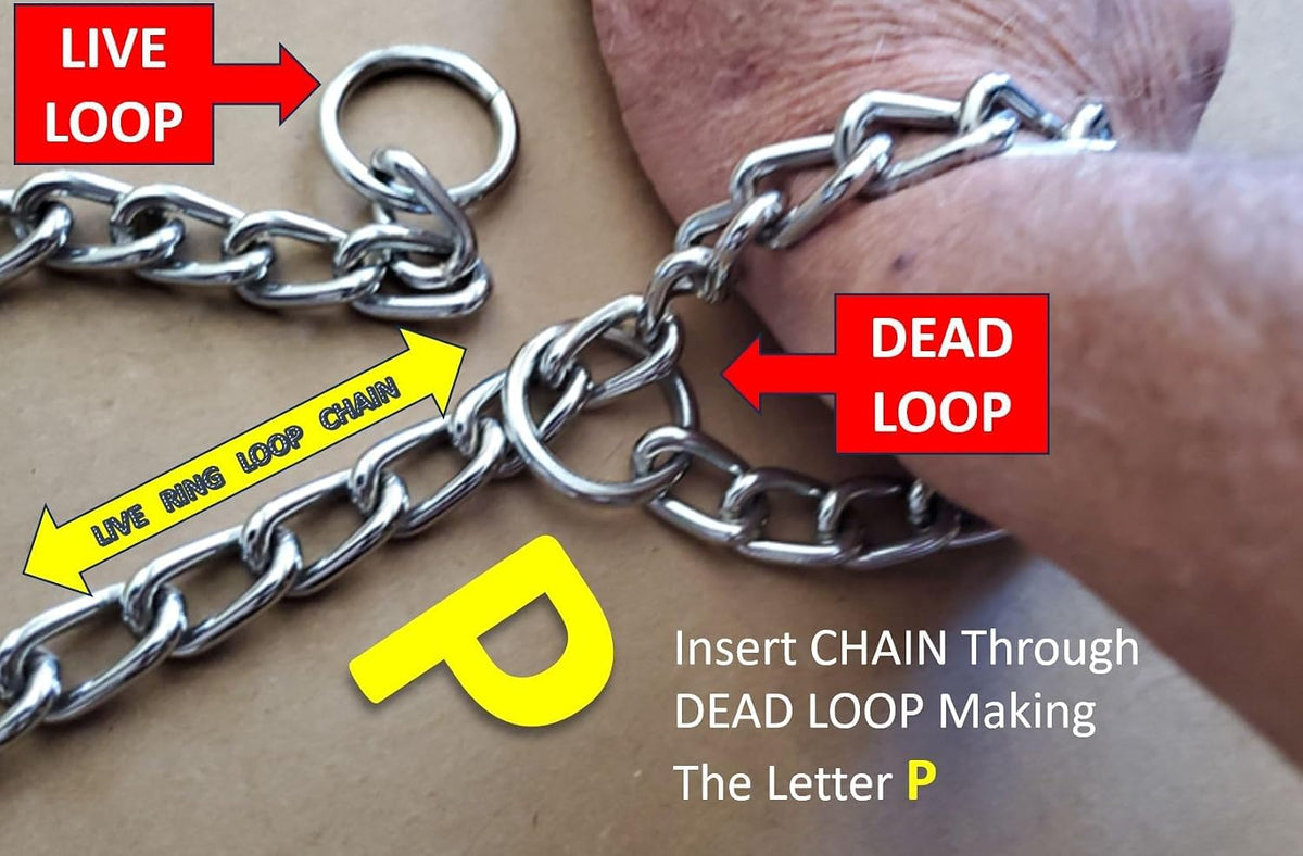 Adjustable slip chain collar for obedience training and walking large breed dogs.