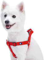 Blueberry Pet Essentials Step-in Dog Harness, Small Size | Adjustable Fired Brick Vest | Classic Solid Nylon for Boy & Girl Dogs, Chest Girth 16.5" - 21.5" - Image 12
