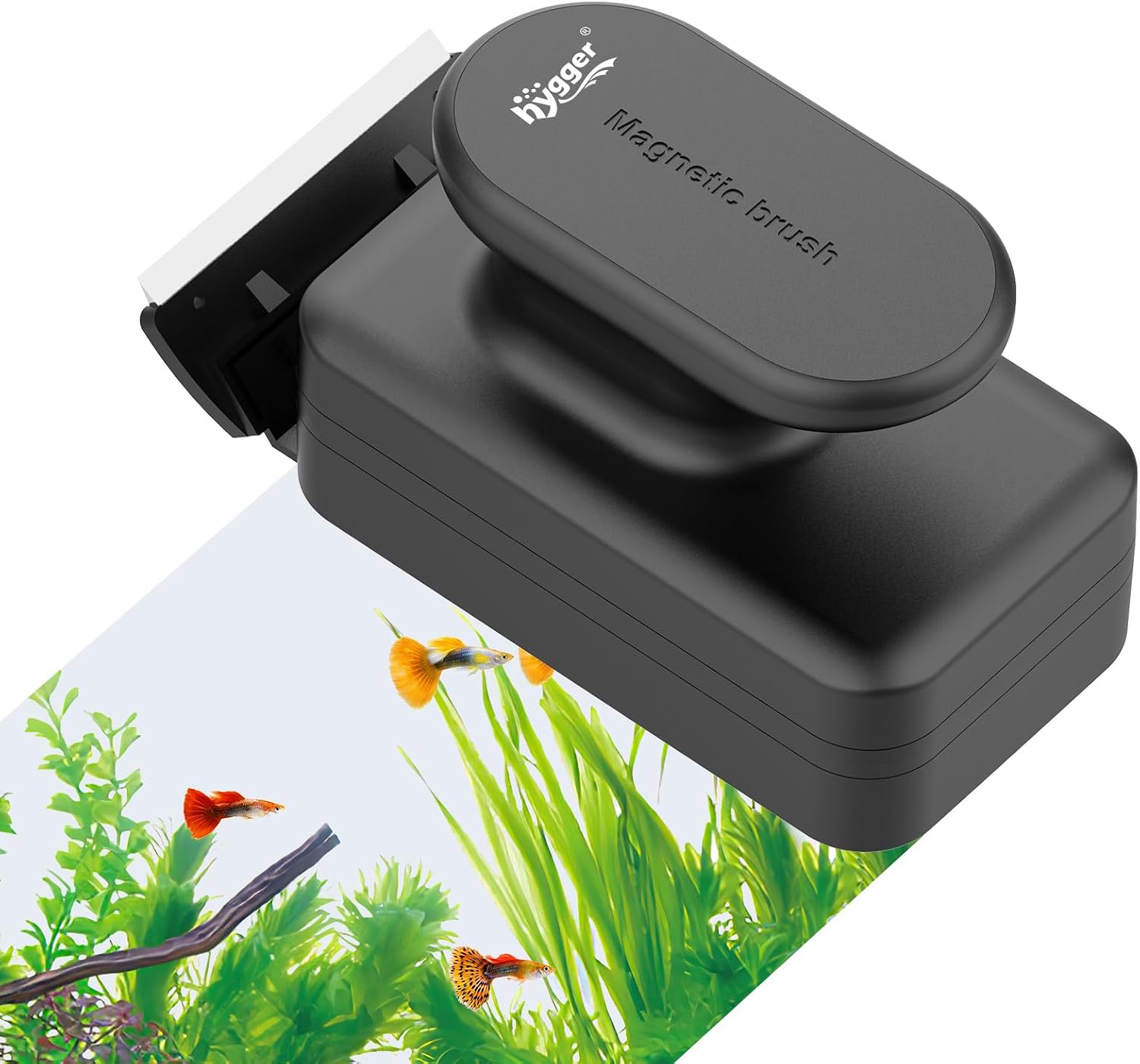 Hygger aquarium glass cleaner removing algae buildup efficiently inside a well lit glass aquarium.