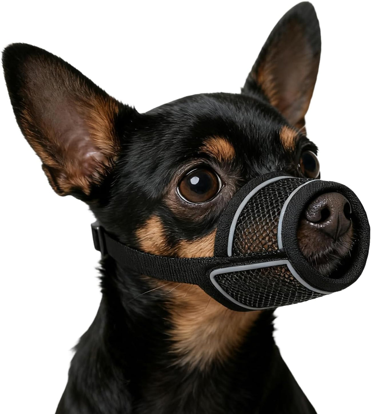 CNSYAF soft air mesh dog muzzle XXS front view