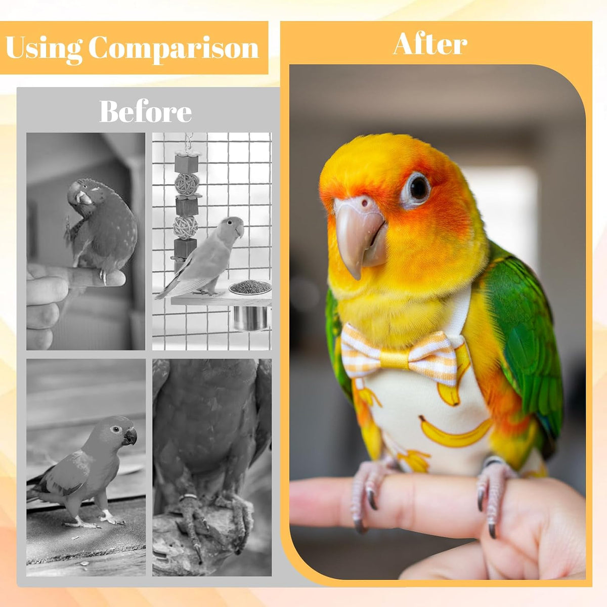6Pcs Bird Diaper - Reusable Parrot Diapers with Waterproof Inner (Medium) - Image 5