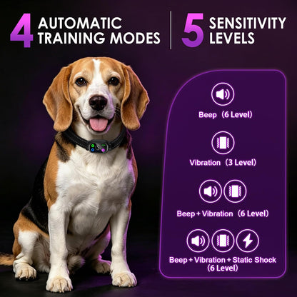 Two pack dog training collar with waterproof remote control