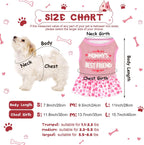 Clysee pet dress shirt collection highlighting six different summer styles and patterns