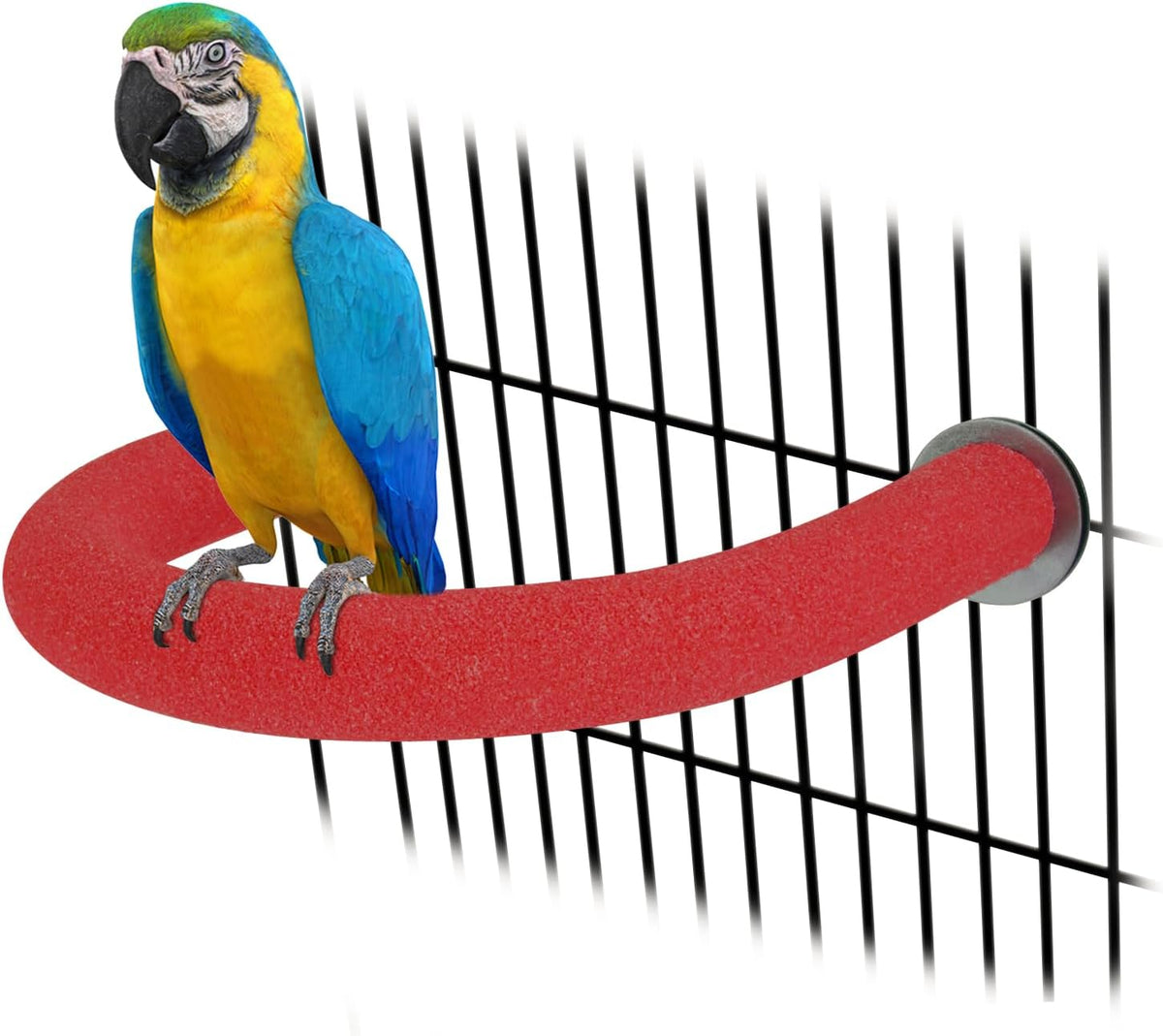 Rypet U-Shaped Large Parrot Perch, Quartz Bird Perch for Cage(Blue L) - Image 12