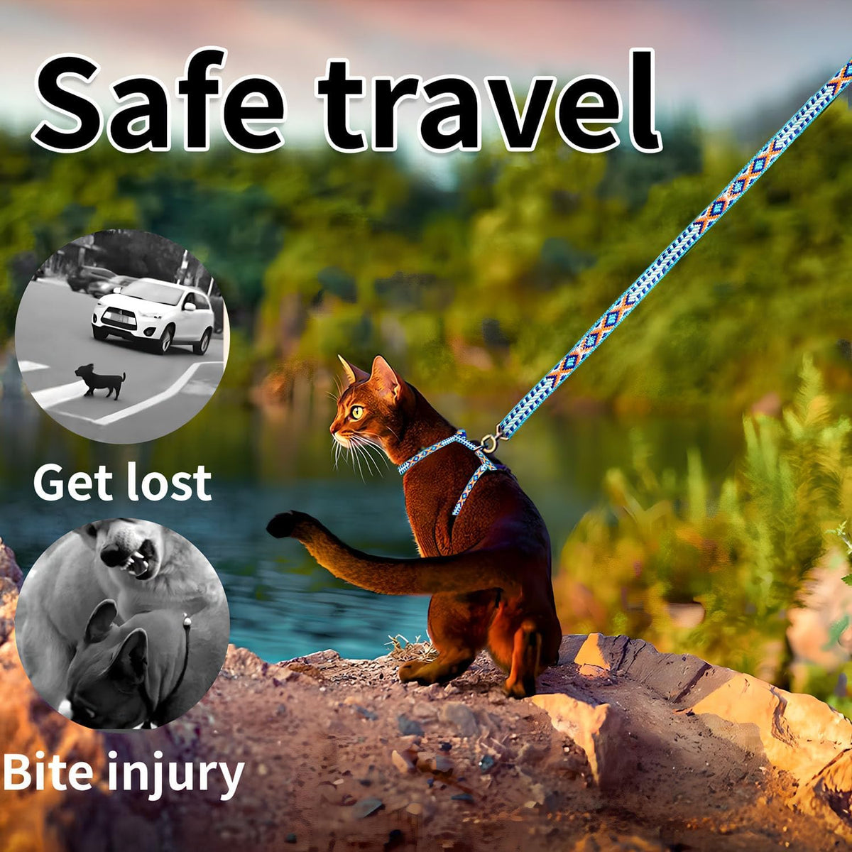 Cat harness and leash set displayed for small pets