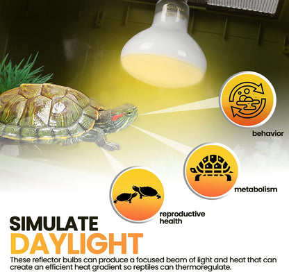 Calpalmy one hundred watt basking light bulb close up view